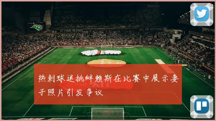 热刺球迷挑衅赖斯在比赛中展示妻子照片引发争议