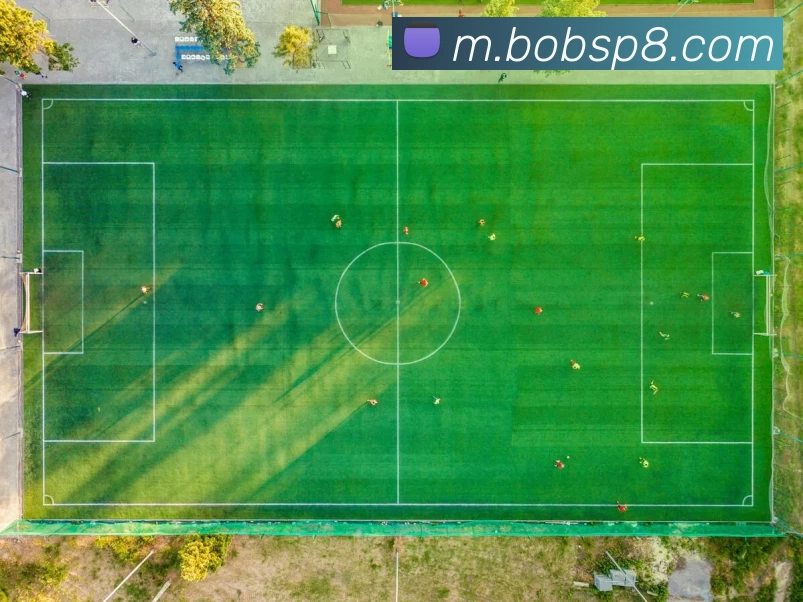 BOB体育服务体系